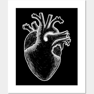 Human heart anatomy, I love my heart Posters and Art